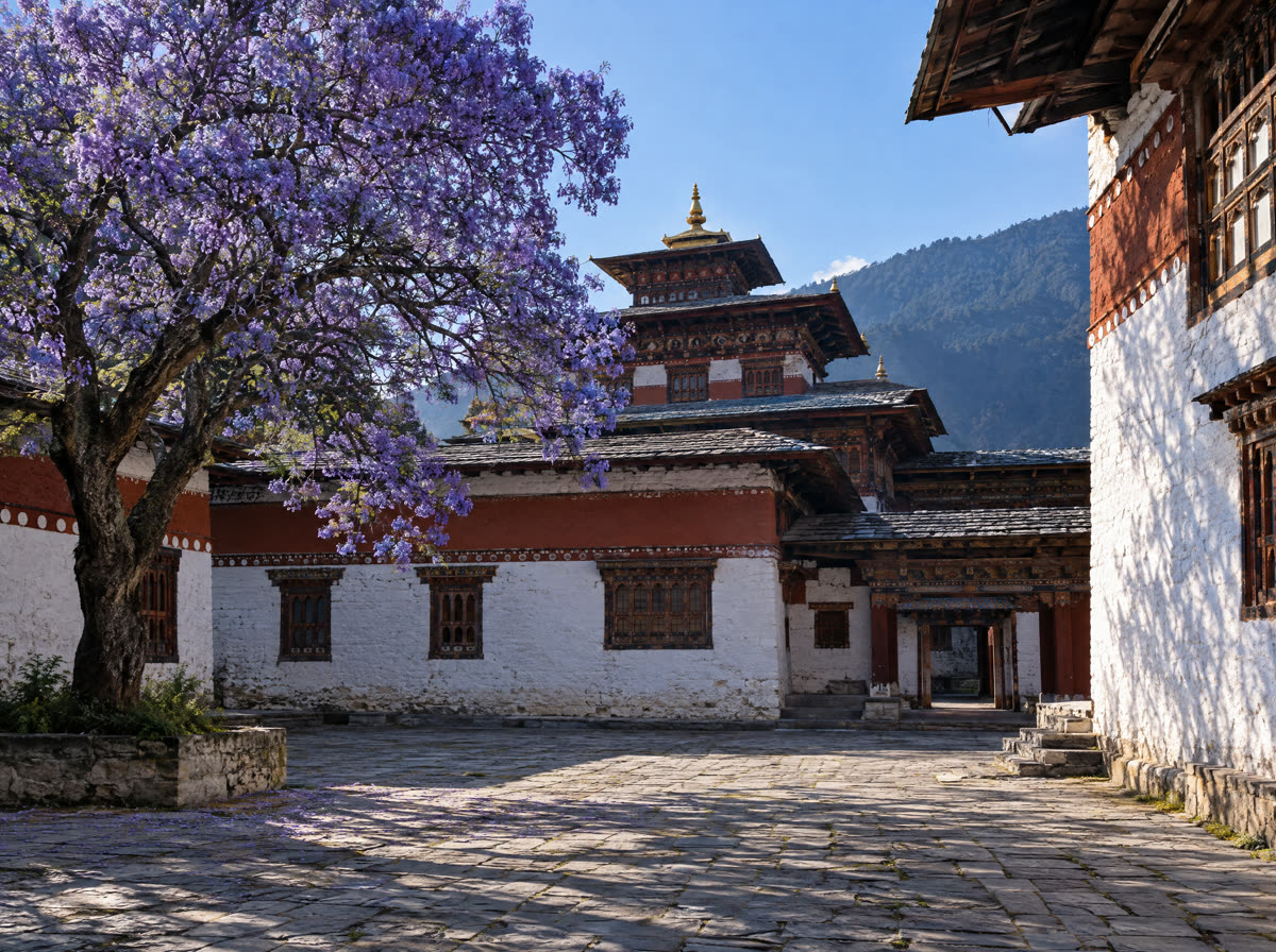 A stone courtyard with whitewashed walls and a flowering jacaranda