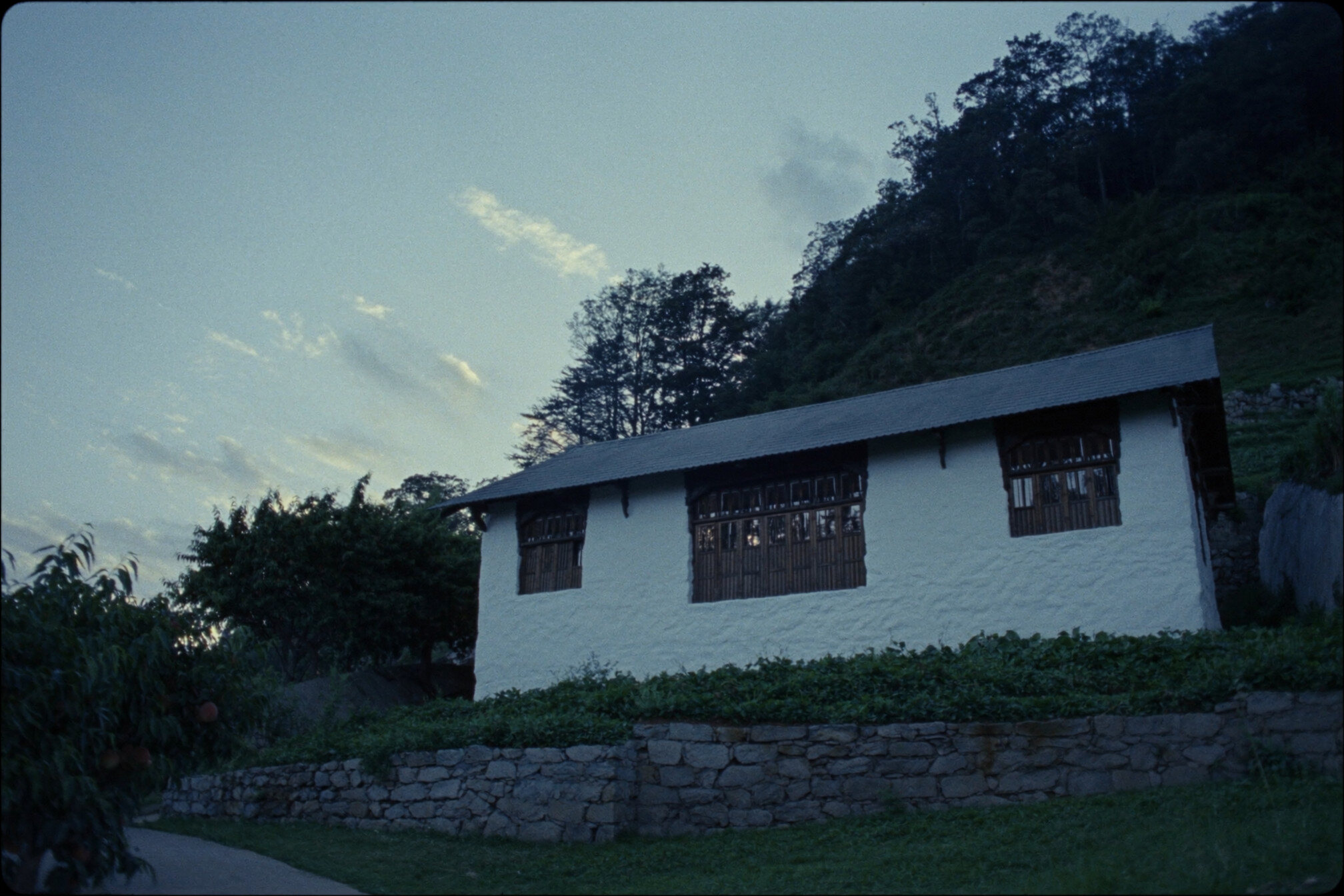 A modest whitewashed house with dark timber windows on a terraced hillside, a forested ridge behind it