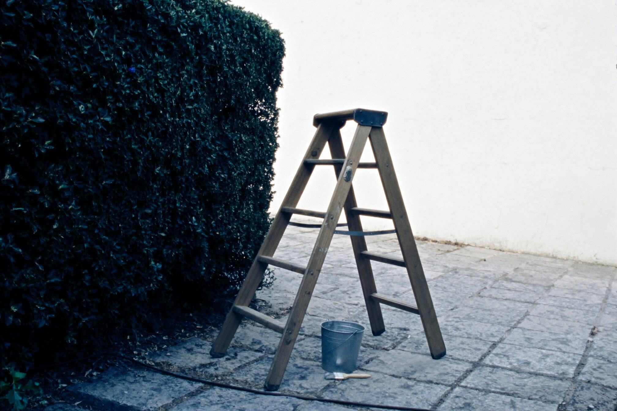 A wooden stepladder, paint bucket and brushes set out on a stone path beside a clipped hedge
