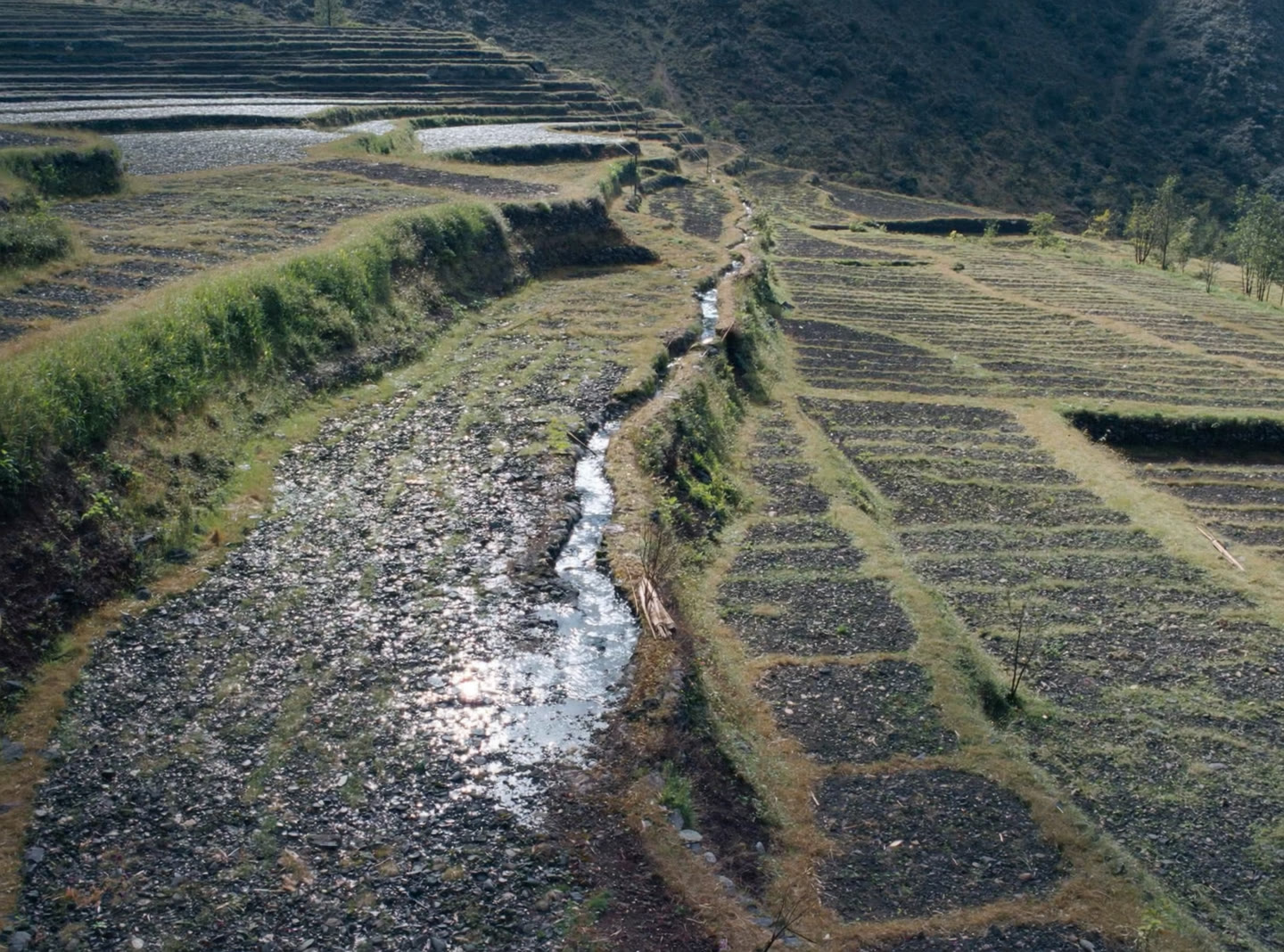 Terraced Bhutanese farmland with a stone irrigation channel running along a terrace edge